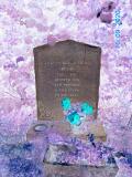 image of grave number 904568
